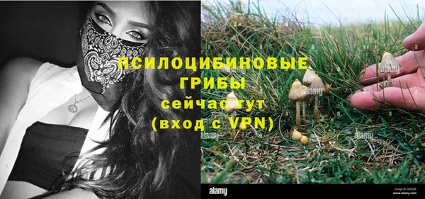 круглые Абаза