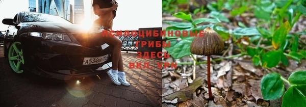 спайс Абинск