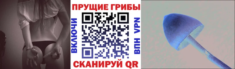 ОМГ ОМГ рабочий сайт  Королёв  Псилоцибиновые грибы ЛСД  закладки 